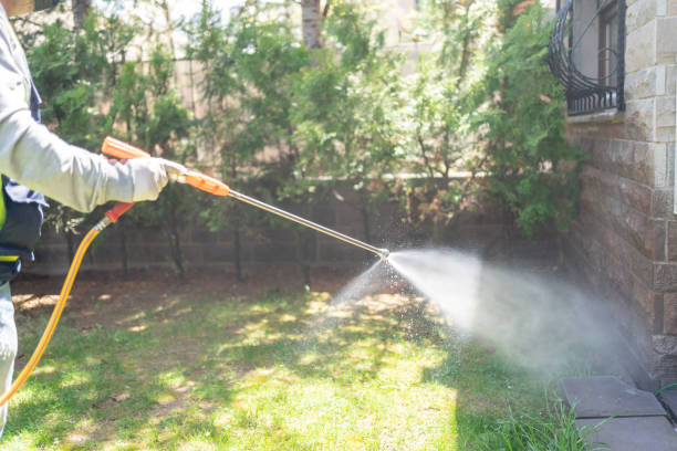 Best Wasp Removal Services  in Gillette, WY