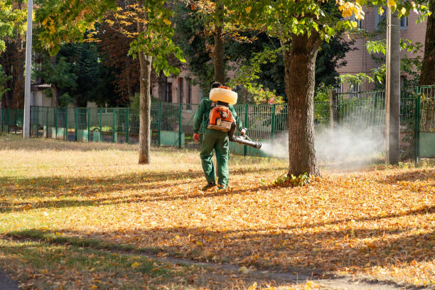 Best Pest Prevention Services  in Gillette, WY