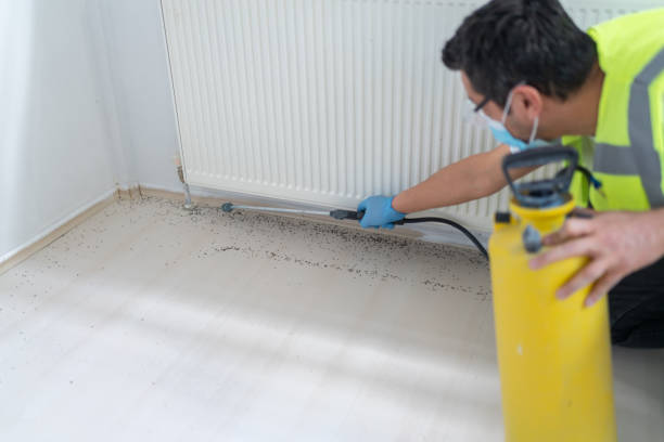 Best Pest Control for Homes  in Gillette, WY